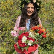 Insegnate di diritto penale e civile